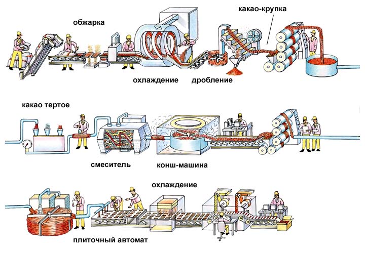 Рисунок, на котором показано, как делают какао тёртое