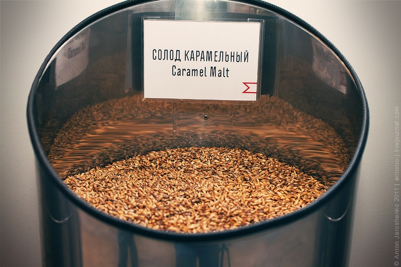 солод